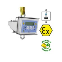 MCWX2GD Single Security Suspended Crane Scales